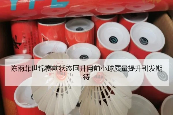 陈雨菲世锦赛前状态回升网前小球质量提升引发期待